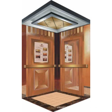 Fjzy-High Quality and Safety Home Lift Fjs-1633